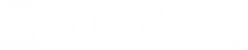 Focus360 | Estrategias de Marketing Basadas en Datos y Psicología del Cliente